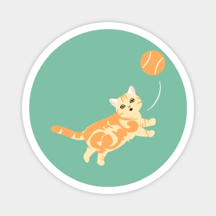 Playing American Shorthair Cat - Orange Magnet